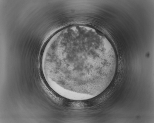 X0000115590795200912081048
