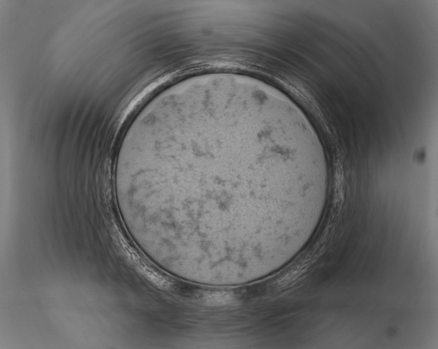 X0000115590798200912081048