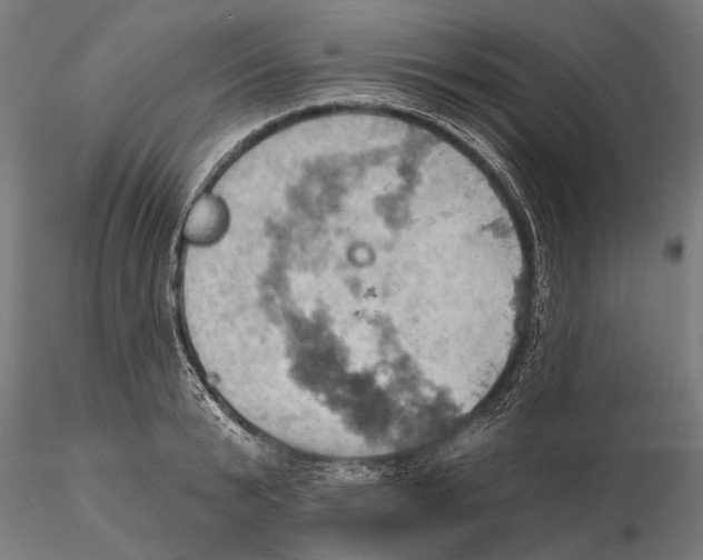 X0000115590799200912081048