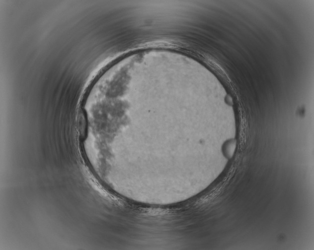 X0000115590800200912081048