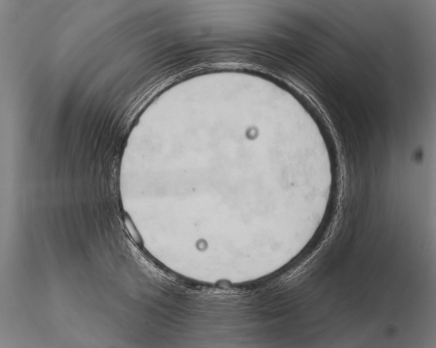X0000115590801200912081048