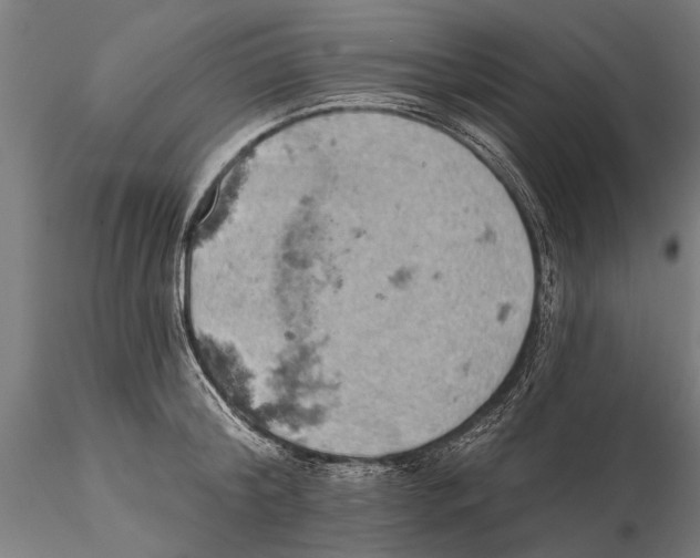 X0000115590804200912081048