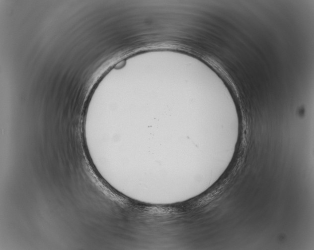X0000115590805200912081048