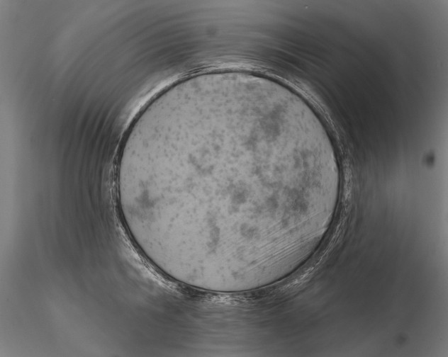 X0000115590806200912081048