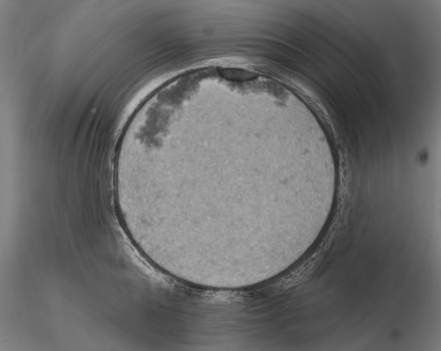 X0000115590808200912081047