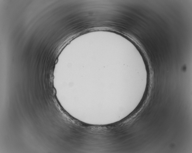 X0000115590809200912081047