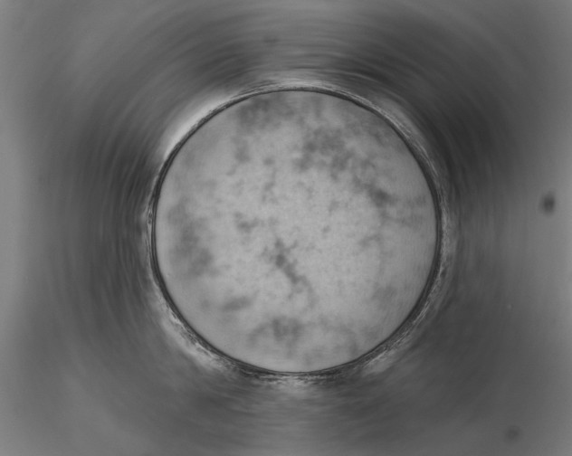 X0000115590814200912081047
