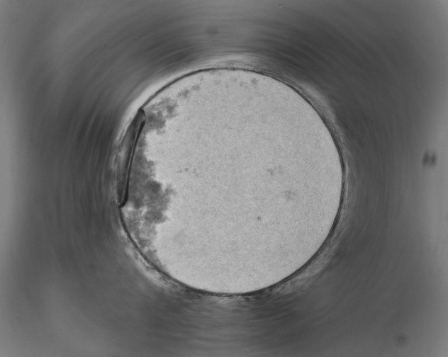 X0000115590816200912081047