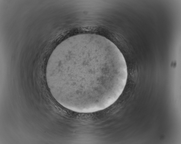 X0000115590817200912081047