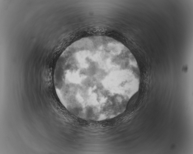 X0000115590818200912081047