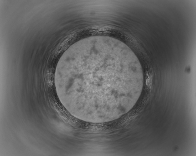 X0000115590819200912081047