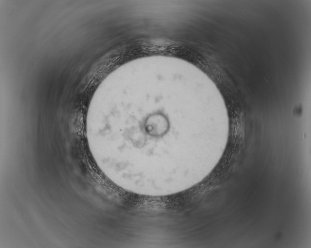 X0000115590820200912081047