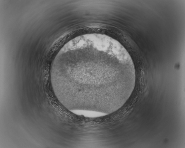 X0000115590821200912081047