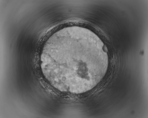 X0000115590822200912081047