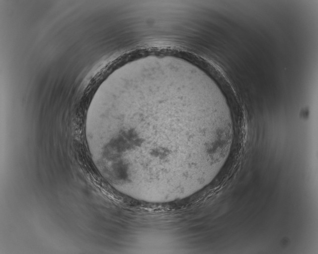 X0000115590823200912081047