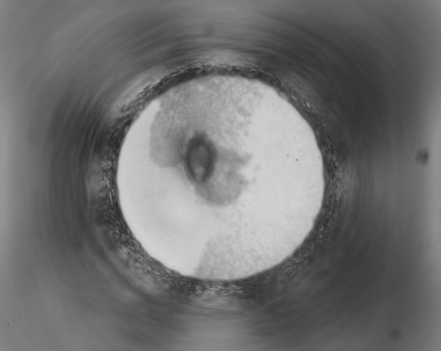 X0000115590824200912081047