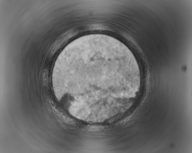 X0000115590825200912081047