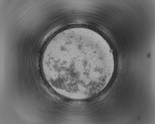 X0000115590826200912081047