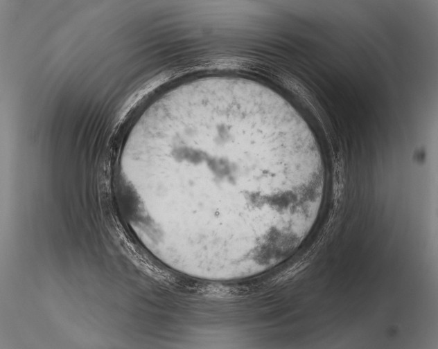 X0000115590827200912081047