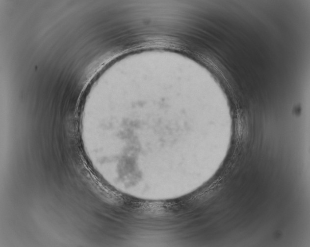 X0000115590828200912081047