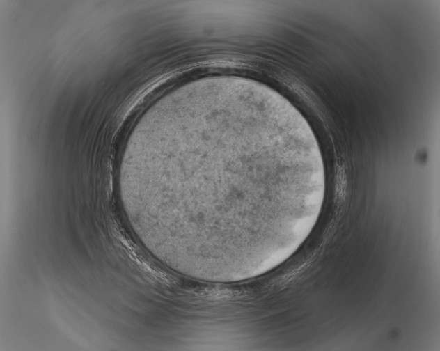 X0000115590829200912081047
