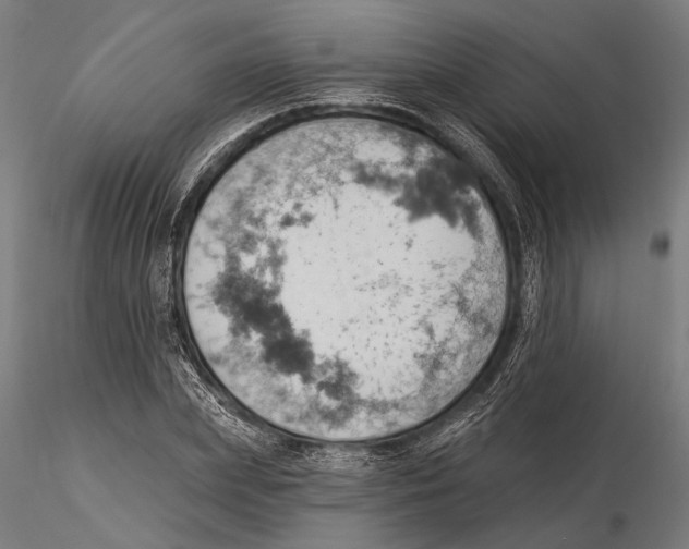 X0000115590831200912081047