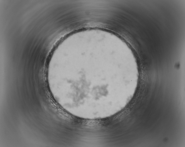X0000115590832200912081047