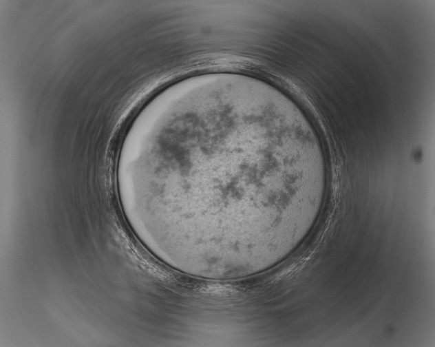 X0000115590835200912081047