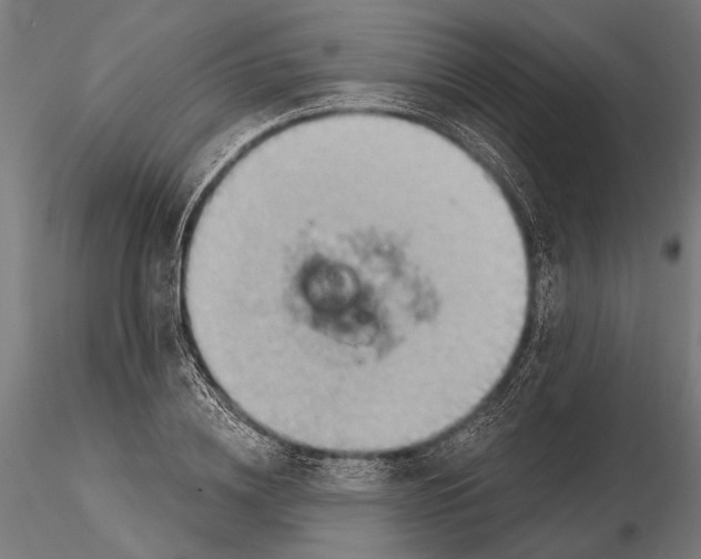 X0000115590836200912081047
