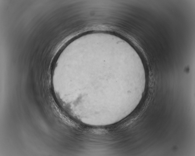 X0000115590837200912081047