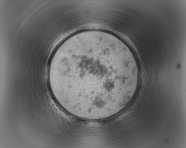 X0000115590839200912081047