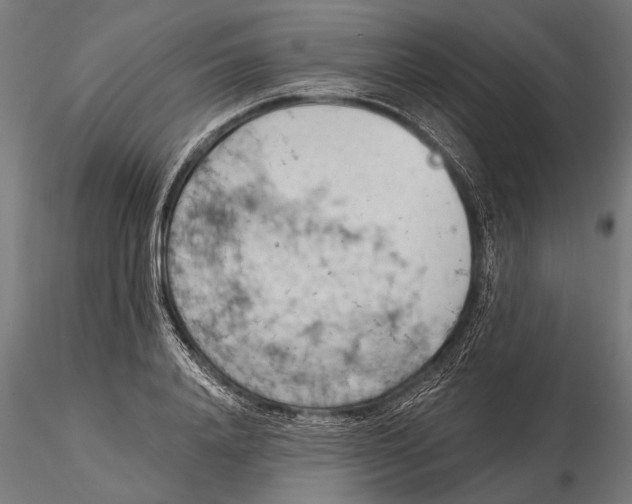 X0000115590840200912081047