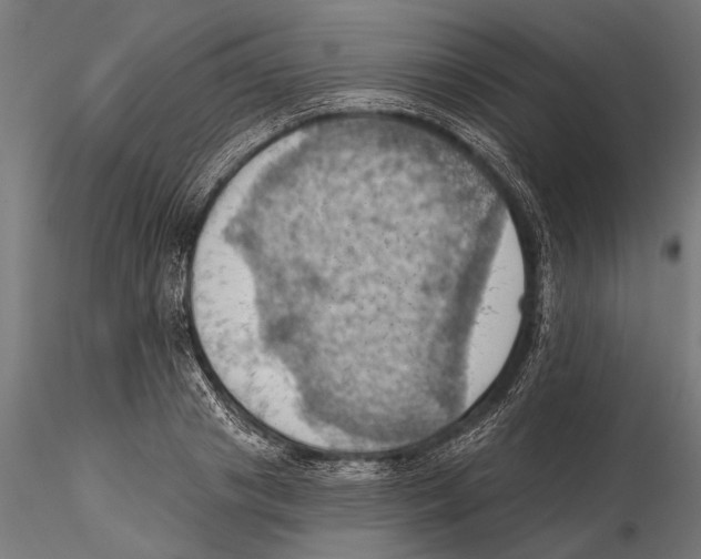 X0000115590841200912081047
