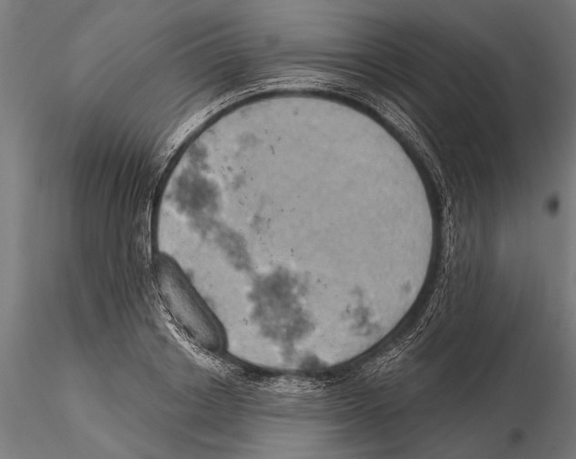 X0000115590842200912081047