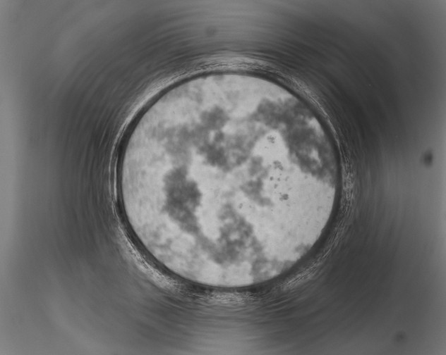 X0000115590843200912081047