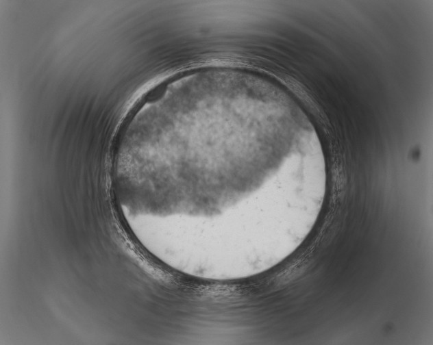 X0000115590846200912081047