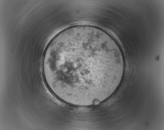 X0000115590847200912081047