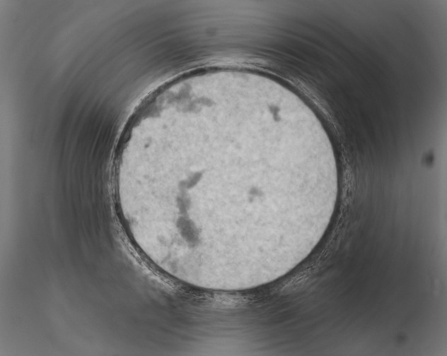 X0000115590848200912081047