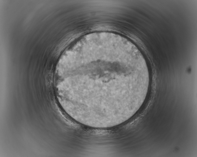 X0000115590849200912081047