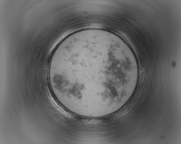 X0000115590851200912081047