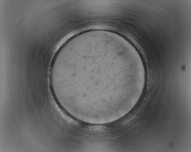 X0000115590853200912081047