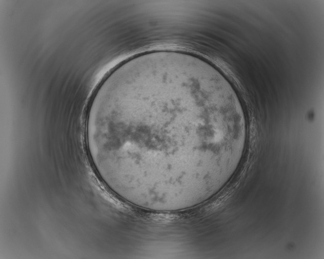 X0000115590854200912081047