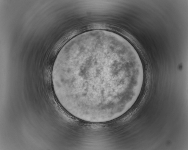 X0000115590857200912081047