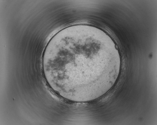 X0000115590858200912081047