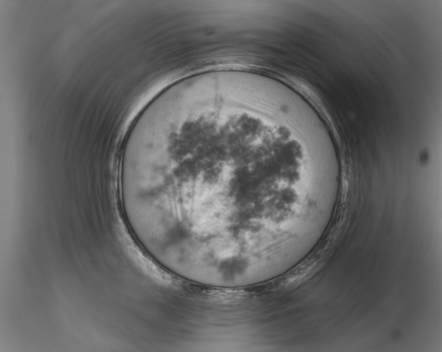 X0000115590859200912081047