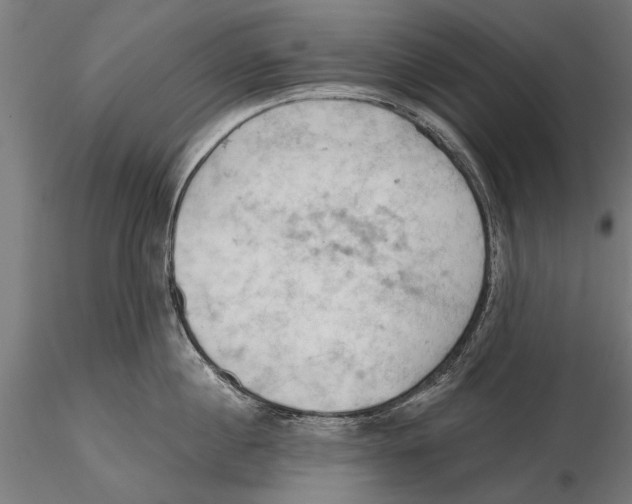 X0000115590860200912081047