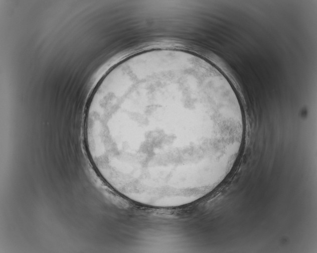 X0000115590861200912081047