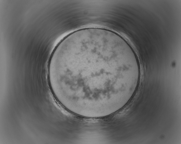 X0000115590862200912081047