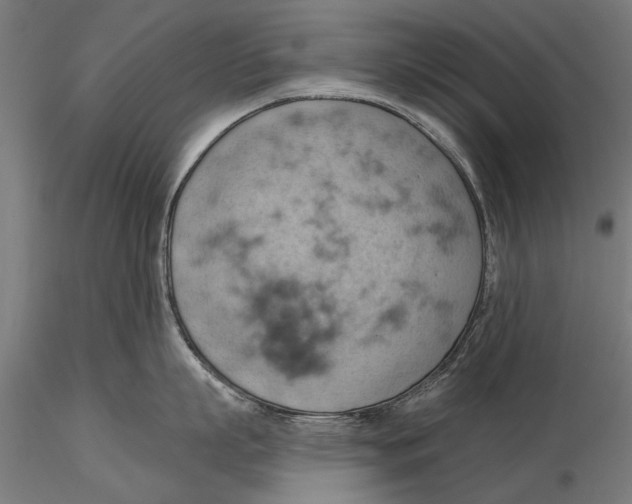 X0000115590863200912081047