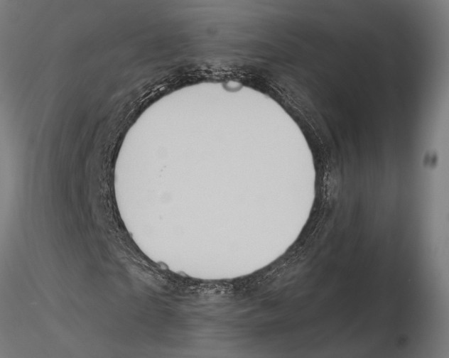 X0000115590865200912081047